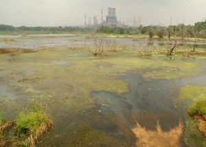 Jokatte residents woes to be resolved by committee